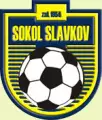 TJ Sokol Slavkov